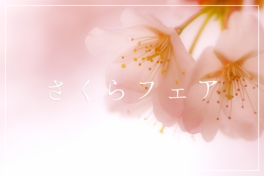 さくらフェア